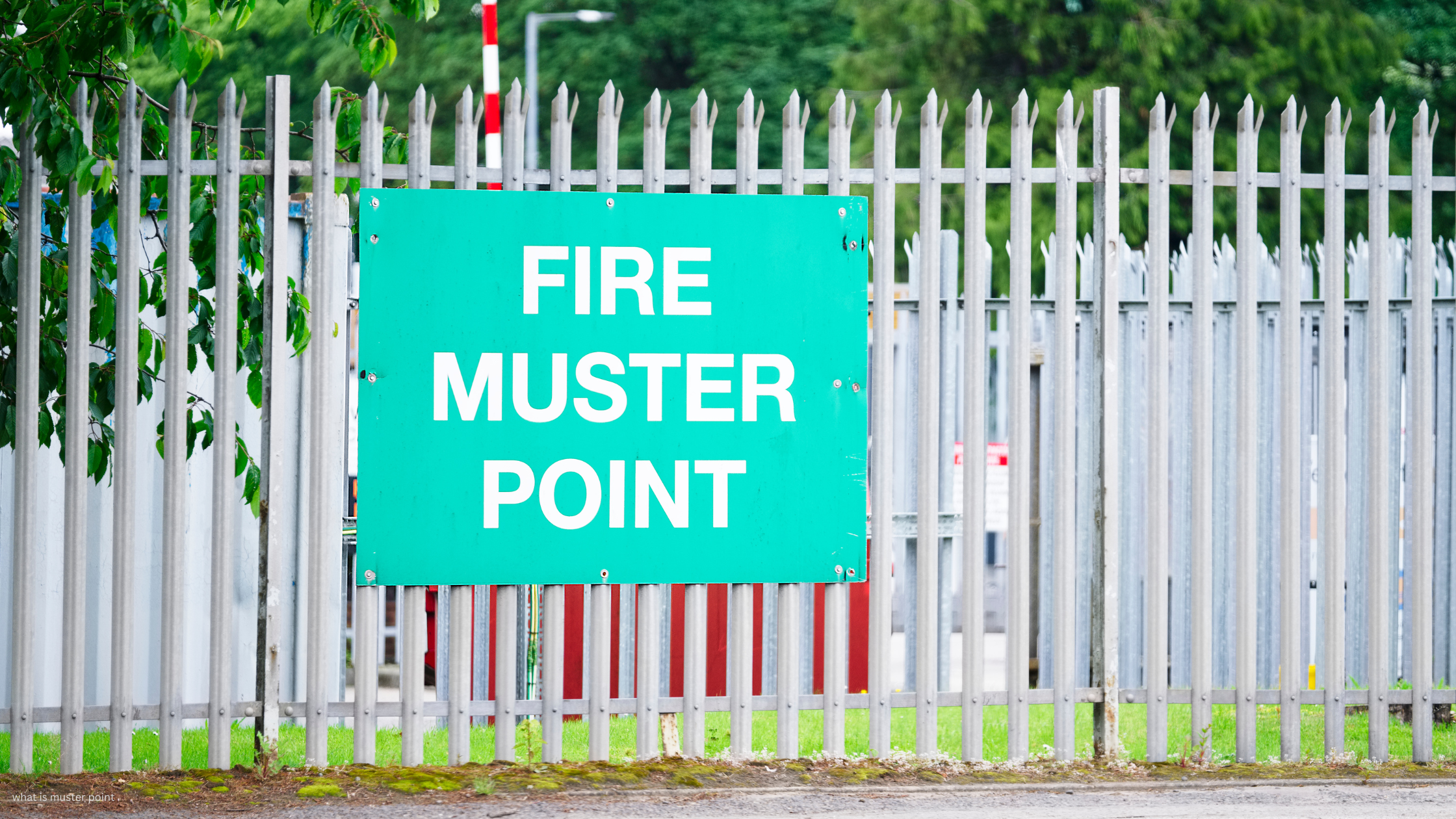 A Fire Muster Point