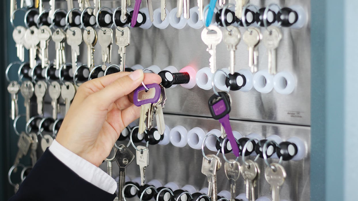 Locking Key Ring to Prevent Unauthorized Key Removal